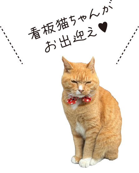 湖東焼 陶芸体験