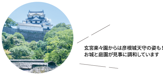 玄宮楽々園からは彦根城天守の姿も！お城と庭園が見事に調和しています