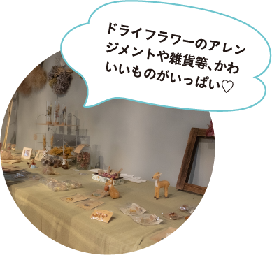 あしがるノイエ