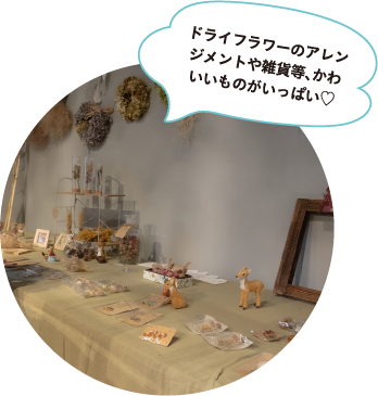 あしがるノイエ